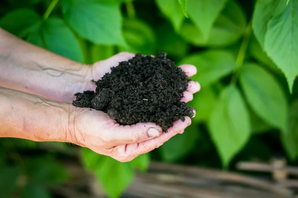 Humic Acid Supplier in Viluppuram: A Natural ..