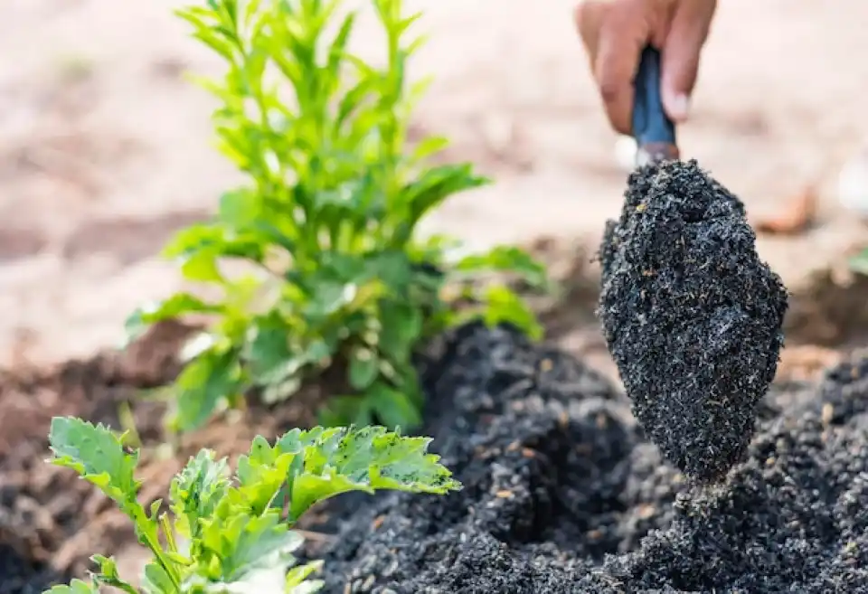 Humic Acid Supplier in Unakoti: Nurturing Sus..