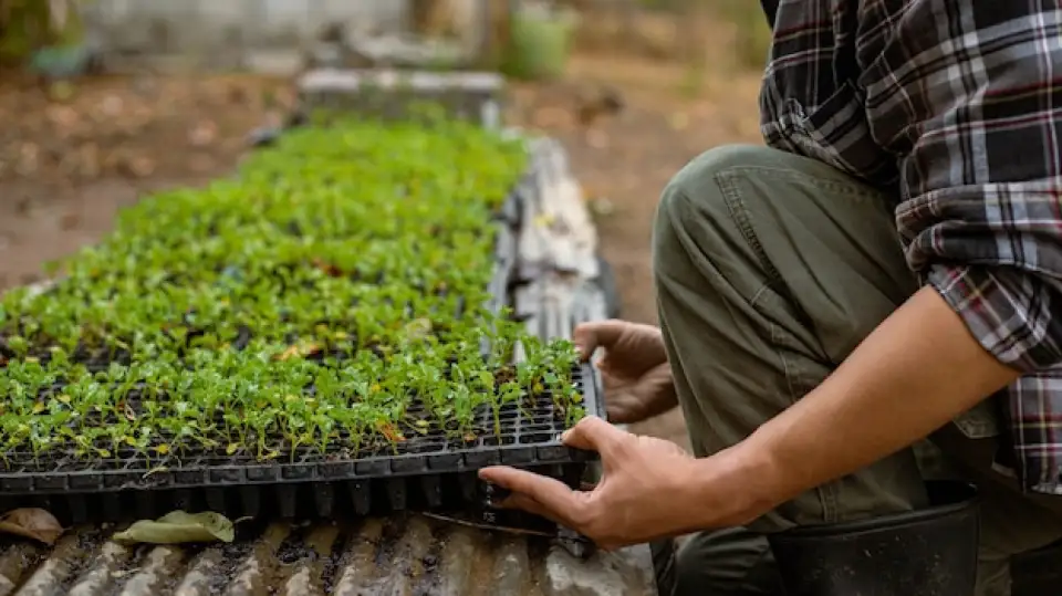 Humic Acid Supplier in Udalguri: Nurturing Ag..