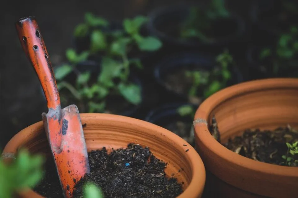 Humic Acid Supplier in South Goa: Nurturing S..