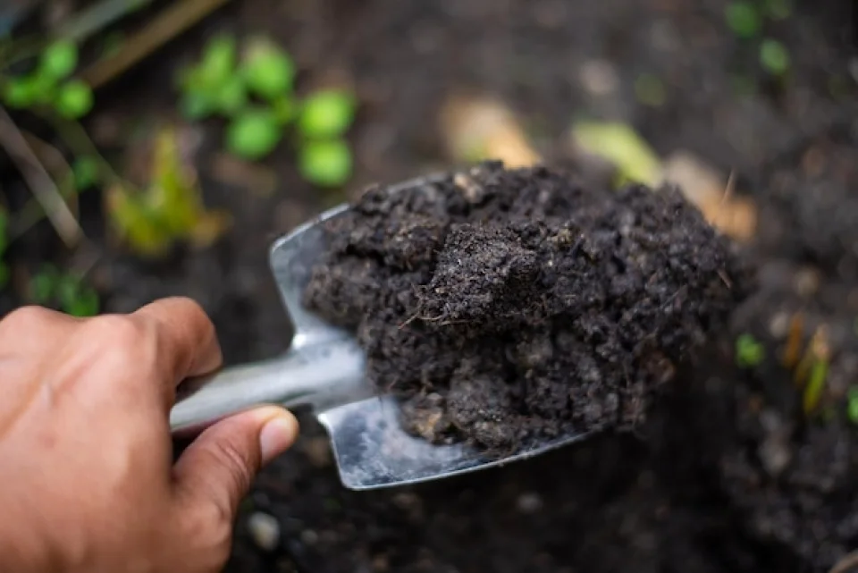 Humic Acid Supplier in Solan: Nurturing Agric..