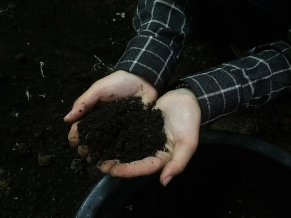 Humic Acid Supplier in Shimla: Nurturing Agri..