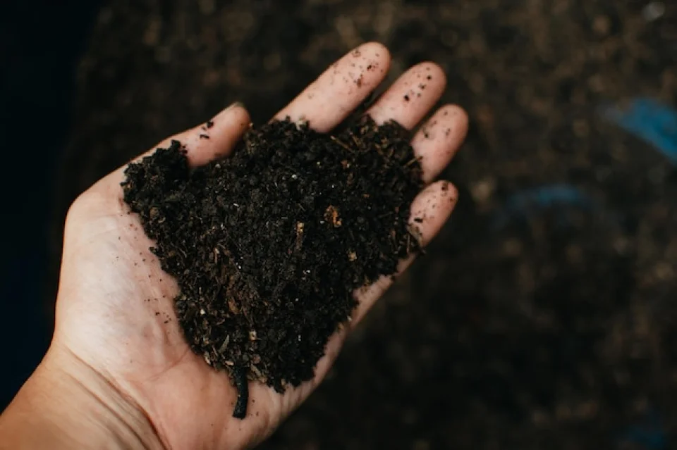 Humic Acid Supplier in Shi Yomi: Cultivating ..