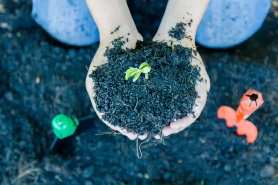 Humic Acid Supplier in Shakti: Nurturing Agri..