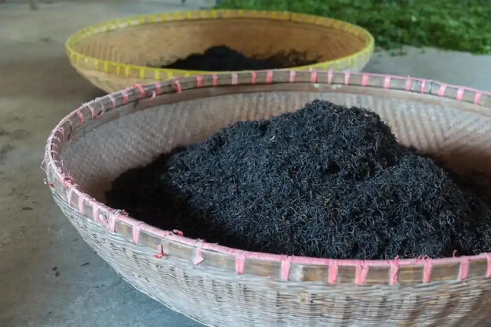 Humic Acid Supplier in Raipur: Unleashing the..