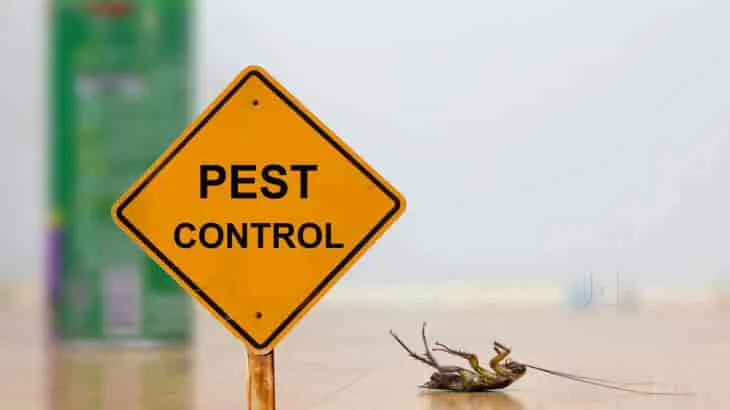 Effective Solutions for Pest Control in Jhunj..