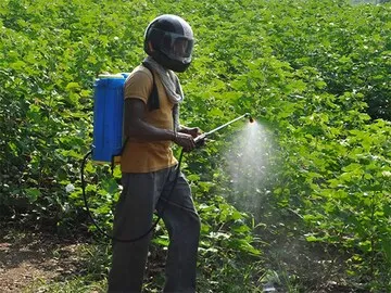 Utilising the Power of Bio Larvicides in Tiru..