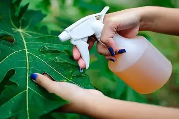 Best Bio Larvicide Supplier in Nalanda: Comba..