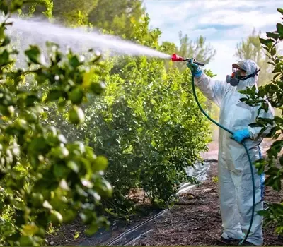 Revolutionizing Pest Control: Unveiling the B..