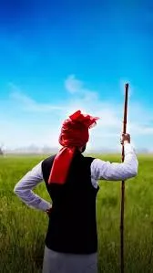 Humic Acid Supplier in Raigarh: Enriching Agr..