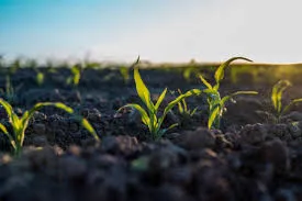 Choosing the Best Bio Larvicide Supplier in G..