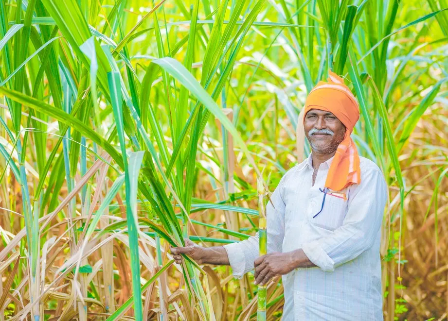 Best Bio Larvicide Supplier in West Tripura: ..