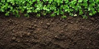 Exploring the Best Bio Larvicide Supplier in ..