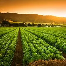 Choosing the Best Bio Larvicide Supplier in B..