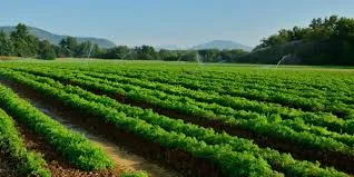 Best Bio-Larvicide Supplier in Churachandpur:..