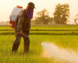 Best Bio-Larvicide Supplier in Dharmapuri: A ..