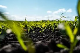 The Best Bio Larvicide Supplier in East Kamen..