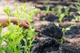 Best Bio Larvicides Supplier in Khargone for ..