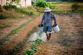 Best Bio-Larvicide Supplier in Manendragarh: ..