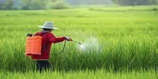 Best Bio-Larvicide Supplier in Munger: Effect..