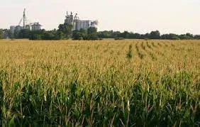 Humic Acid Supplier in Anjaw: Nurturing Agric..