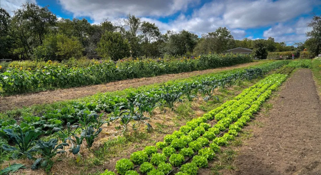 Humic Acid Supplier in Kannur: Enriching Agri..