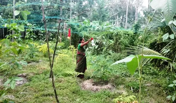 How does soil testing help optimize nutrient ..