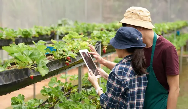 What are the emerging trends in sustainable a..