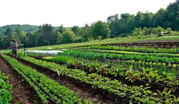 What Are the Key Factors to Consider When Sta..