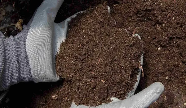 How Do Natural Soil Conditioners Help Improve..