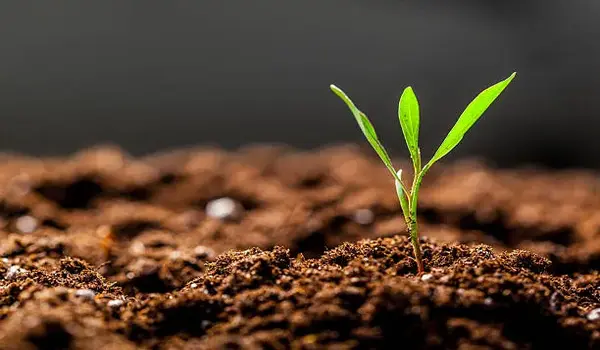 What are the Best Practices for Combining NPK..