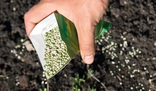 Can Using Balanced NPK Fertilizers, Like 12-3..