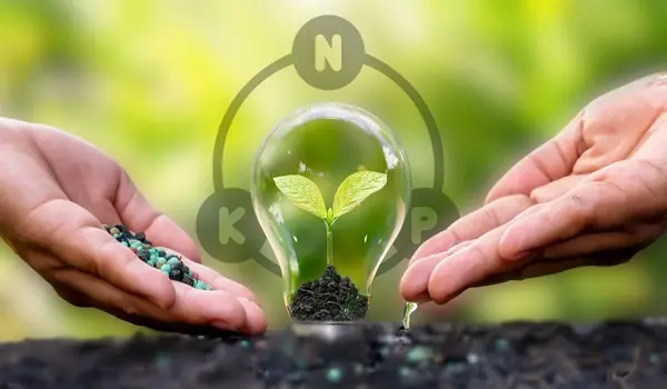 When is the Best Time to Apply NPK 20-20-20 t..