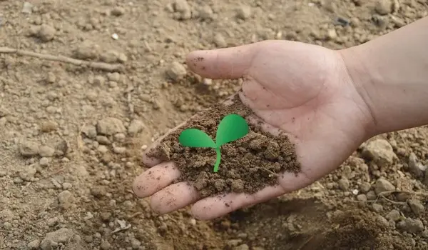 एज़ोटोबैक्टर (azotobacter) का उपयोग कैसे फसलो..