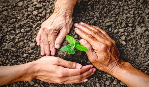 फसल की वृद्धि के लिए सही जैविक उर्वरक (biofer..