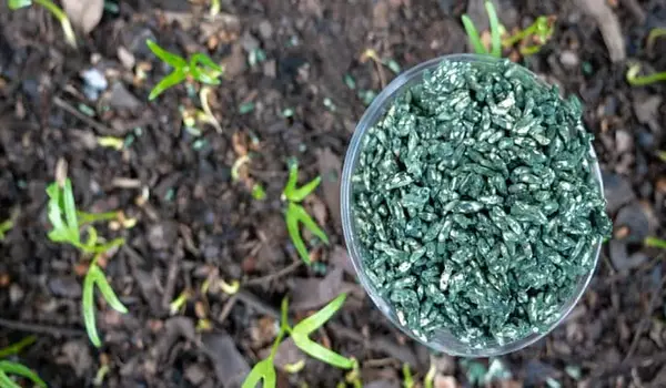 ट्राइकोडर्मा फंगीसायड (trichoderma fungicide)..