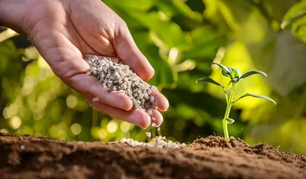 चिलेटेड सूक्ष्म पोषक उर्वरक (chelated micronu..