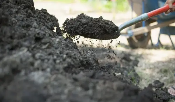 From Soil to Harvest: The Science Behind Tric..