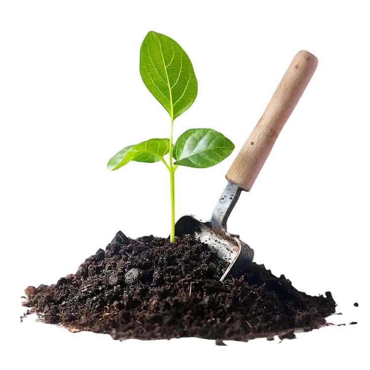 Best Organic Plant Fertilizers for Healthier ..