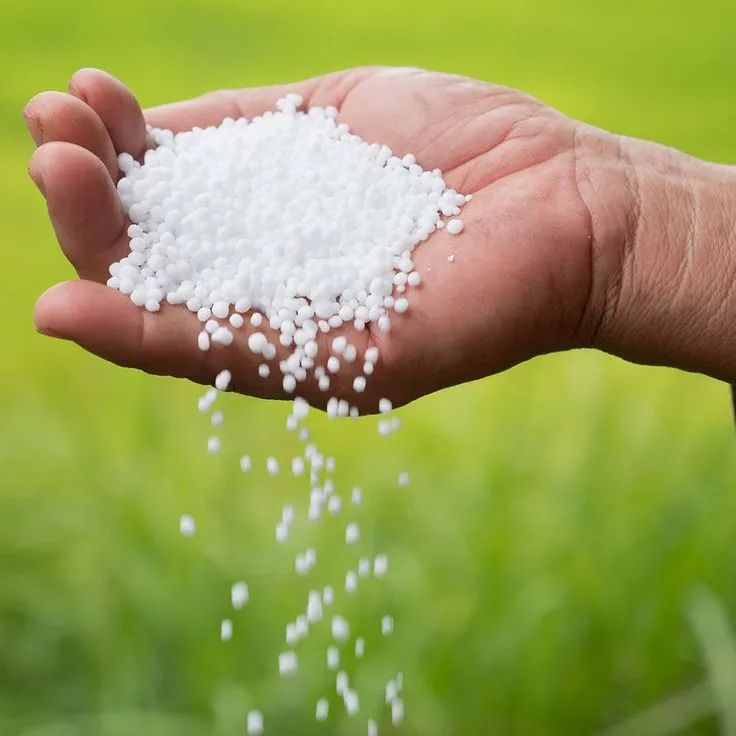 Urea Fertilizer: How to Maximize Crop Growth ..