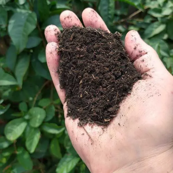 Humic Acid Liquid: The Organic Gardening Succ..
