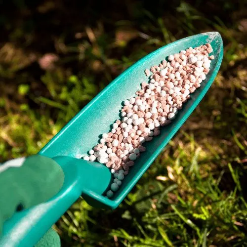 NPK 00 00 50 as Sulphate of Potash: The Organ..